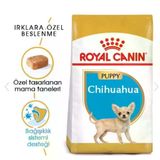 ROYAL CANIN Royal Canin Puppy Chihuahua Yavru Köpek Maması 1,5kg