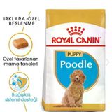 ROYAL CANIN Royal Canin Puppy Poodle Yavru Köpek Maması 3kg