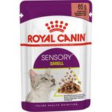 Royal Canin Sensory Koku Duyusu için Sos İçerisinde Yaş Kedi Maması 12 x 85g