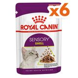 Royal Canin Sensory Smell Pouch Yaş Kedi Maması 85 Gr x 6 Adet
