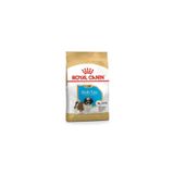 Royal Canin Shih Tzu Puppy Özel Irk Yavru Köpek Maması 1,5 kg (:03/2025) - Petshopundan