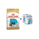 Royal Canin Shih Tzu Puppy Yavru Köpek Maması 1.5 kg + 12 Adet Yaş Mama CK563511