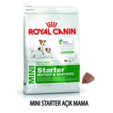 Royal Canin Small Dogs Mini Starter Mother Babydog 1 kg Yavru Köpek Maması