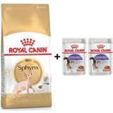 Royal Canin Sphynx 2 kg Yetişkin Kedi Maması + 2 Adet Yaş Mama