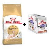 Royal Canin Sphynx Yetişkin Kedi Maması 2 kg + 12 Adet Yaş Mama 3182550758840-6070