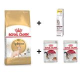 Royal Canin Sphynx Yetişkin Kedi Maması 2 kg + 2 Adet RC Yaş Mama 85 gr + 20 gr GimCat Malt 3182550758840-01495