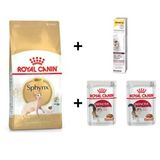 Royal Canin Sphynx Yetişkin Kedi Maması 2 kg + 2 Adet RC Yaş Mama 85 gr + 20 gr GimCat Malt