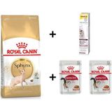 Royal Canin Sphynx Yetişkin Kedi Maması 2 kg + 2 Adet Rc Yaş Mama 85 gr
