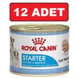 Royal Canin Starter 12x195 gr Köpek Konserve Maması