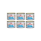 Royal Canin Starter Mother Babydog Yavru Köpek 195 gr 6 Adet Konserve Maması