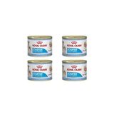 Royal Canin Starter Mother Babydog Yavru Köpek Konserve Maması 195 Gr X 4 Adet