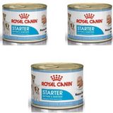 Royal Canin Starter Mousse 3x195 gr Anne ve Yavruları İçin Köpek Konservesi