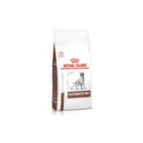 Royal Canin Veterinary Gastrointestinal 2 kg Köpek Kuru Maması
