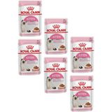 Royal Canin Yavru Kedi Konservesi Gravy Pouch Tavuk 85 gr (6 Adet) Besleyici Yaş Mama