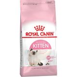 Royal Canin Yavru Kedi Maması 10 kg Sığır Eti Lezzeti İle İkinci Büyüme Dönemi İçin Özel Formül