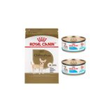 Royal Canin Yetişkin Chihuahua Köpek Maması 1,5 Kg + Mini Starter Konserve 2 Adet (Original)