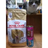 Royal Canin Yorkshire Terrier Adult Yetişkin Köpek Kuru Maması 1.5 Kg + 2 Adet 400 Gram Köpek Konserve