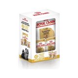 Royal Canin Yorkshire Terrier Adult Yetişkin Köpek Maması 1500 gr 1.5 kg 2 Pouch Hediye