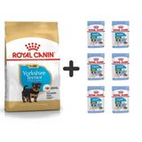 Royal Canin Yorkshire Terrier Yavru Köpek Maması 1,5 Kg + 6 Adet Yaş Mama 3182550743471-6