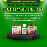 Royal İlaç Güvercin Kafes Kuşları ve Kanatlılar İçin Mükemmel Üçlü Set (Acidoral+Pigeorex+Pantonic)