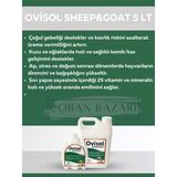 Royal İlaç Ovisol Sheep&goat Koyun ve Keçi Yem Katkısı 5 Lt