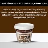 Royal İlaç Royal Caprovit Sheep 25 kg