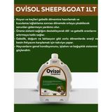 Royal İlaç Royal Ovisol Sheep&goat Koyun ve Keçi Yem Katkısı 1 Lt