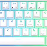 Royal Kludge RK61 Beyaz 60% Kablosuz Gaming Klavye