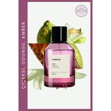 Royal Platinum Lamour Kadın EXTRAIT DE PARFUM 100 ML Sümbülteber - Bergamot - Amber | Çiçeksi Seri