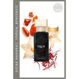 Royal Platinum Troy Unisex EXTRAIT DE PARFUM 30 ML Safran - Amber - Vanilya | Ferah Seri