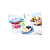 Royaleks Group Bas Aç Push Up Dikdörtgen Saklama Kabı 0,4 Lt 10,5 X 16,7 X 4,8 Cm Royaleks-81925