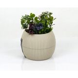 Royaleks Mercan Saksı 11.5X12 cm 0.70 Lt - Krem