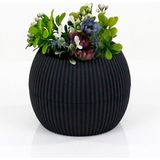 Royaleks Mercan Saksı 2 Numara 0,35 Litre Su Hazneli Dekoratif Kaktüs Sukulent Saksı 11,8x9,2 cm