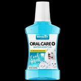 Royalist Kedi ve Köpekler Için Ağız Bakımı Koku ve Tartar Önleyici Serinletici Nane Aromalı