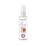 Royalist Lovely Parfüm Dişi Kedi Ve Köpekler Için 100 Ml- Sürpriz Hediyeli