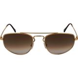 Roysse Ts 3688 C1 55 Unisex Güneş Gözlüğü - Altın