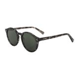 Roysse TY23028 C2 51 Unisex Güneş Gözlüğü