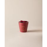 Répertoire Kokulu Mat Mum - Rouge Passionné - 160 gr