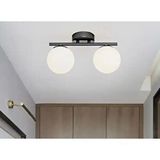 Rsylight Metal Modern Opal Camlı Tavan Plofyoner 2 Li Tavan Avize Siyah