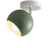 Rsylight Metal Retro Su Yeşili Tavan Plofyoner 180 Derece Hareketli Modern Spor Avize Çap:20 cm