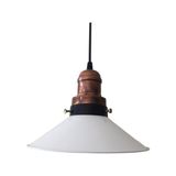 Rsylight Retro Beyaz Metal Sarkıt Avize 23 cm - Siyah
