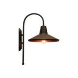 Rsylight Retro Rustik Dekoratif Metal Siyah Baston Kol Vintage Aplik ry8021207sy