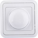 Rtm 1-10 Volt Dimmer RSA-02010