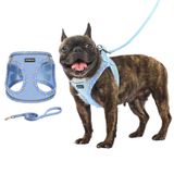 Rttochfy Küçük Köpek Koşum, Yumuşak ve Yansıtıcı Köpek Koşum, Köpek Koşum Takımı ve Küçük Boy Köpek Eğitimi, Yürüyüş için Tasma Seti (Mavi XS)