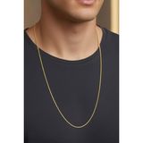 Rua Jewelry Çelik 2 mm Altın Renk Yassı Yılan Kolye - Extra Uzun 75 Cm| Kararmaz , Unisex , 2 Yıl Garantili