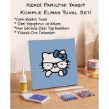 Rübiş Fotoğrafçılık Taşlı Elmas Mozaik Tuval Seti - Mavi Fonlu Gözlüklü Kedi