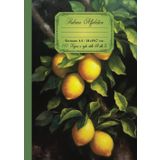 Rubrica Alfabetica quaderno A4 righe: Grande formato 21x29,7 cm, 110 pagine con 4 pagine per lettera dalla A alla Z. Bella copertina con un tocco di freschezza al sapore di limone.