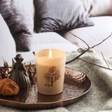 Ruby Shade Of Nature Kokulu Mum - RBY100 WAGA0007 Shade Of Nature - Bej