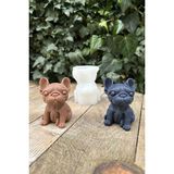 Rufus Concept Fransız Bulldog (Köpek) Mum Kalıbı - Beyaz