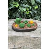 Rufus Concept Kaktüs Set-1 Silikon Mum Kalıbı (5 Adet) - Yeşil - Kahverengi